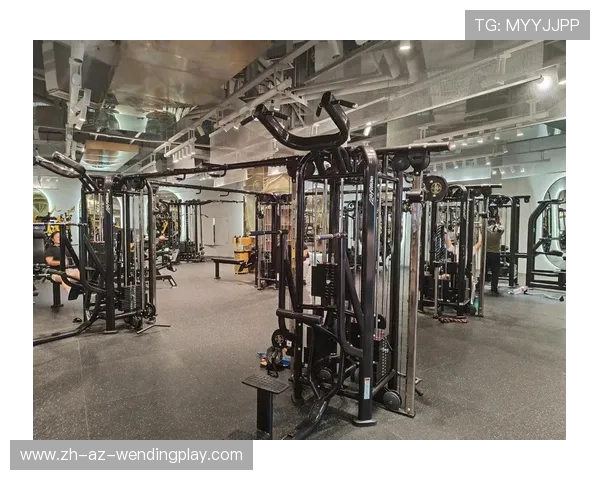 高端健身器材批发市场现状及优质供应商 高端健身器材批发市场现状及优质供应商