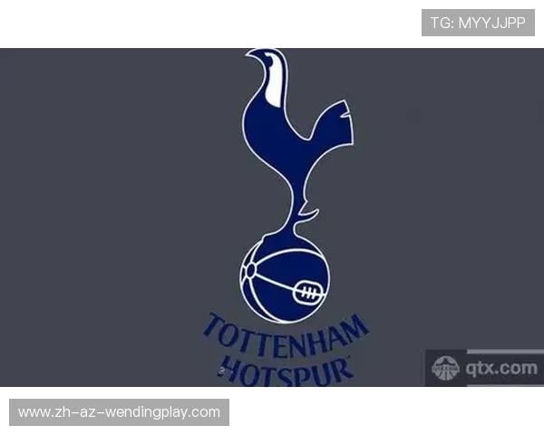 英超球队介绍信息及俱乐部背景概览